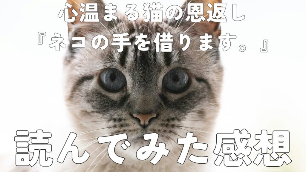心温まる猫の恩返し『ネコの手を借ります。』読んでみた感想