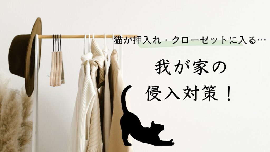 猫が押入れ・クローゼットに入る…我が家の侵入対策！