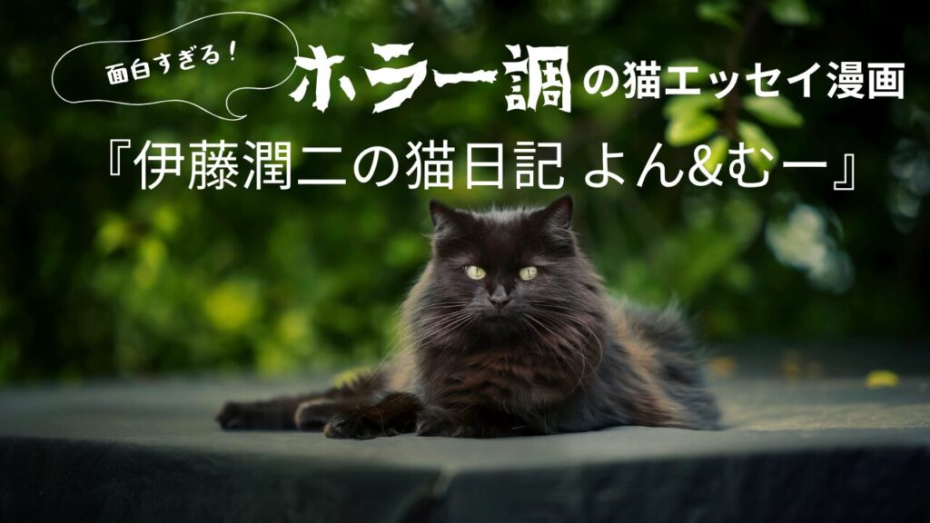 面白すぎる！ホラー調の猫エッセイ漫画『伊藤潤二の猫日記 よん&むー』