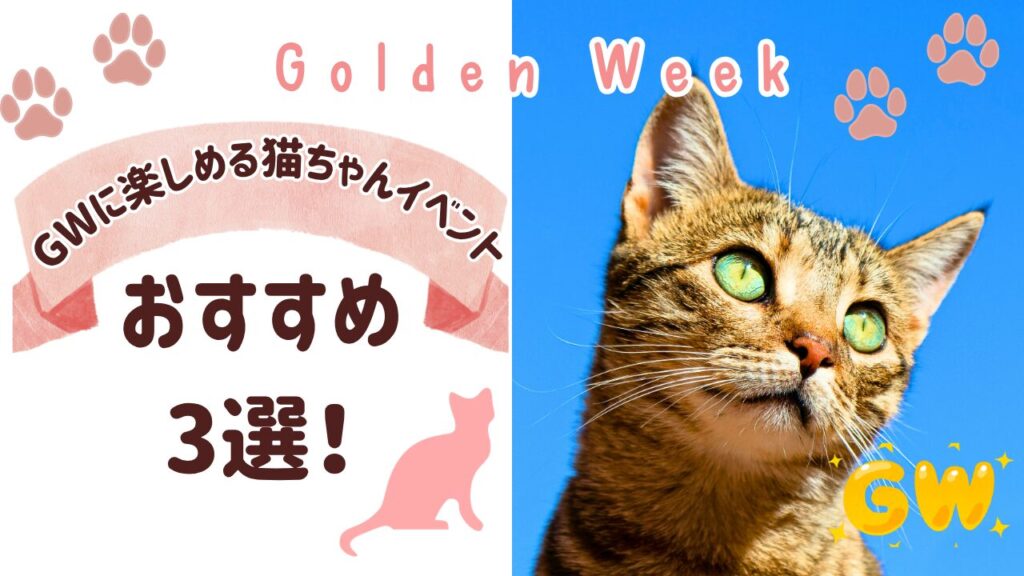 GWに楽しめる猫ちゃんイベントおすすめ3選！