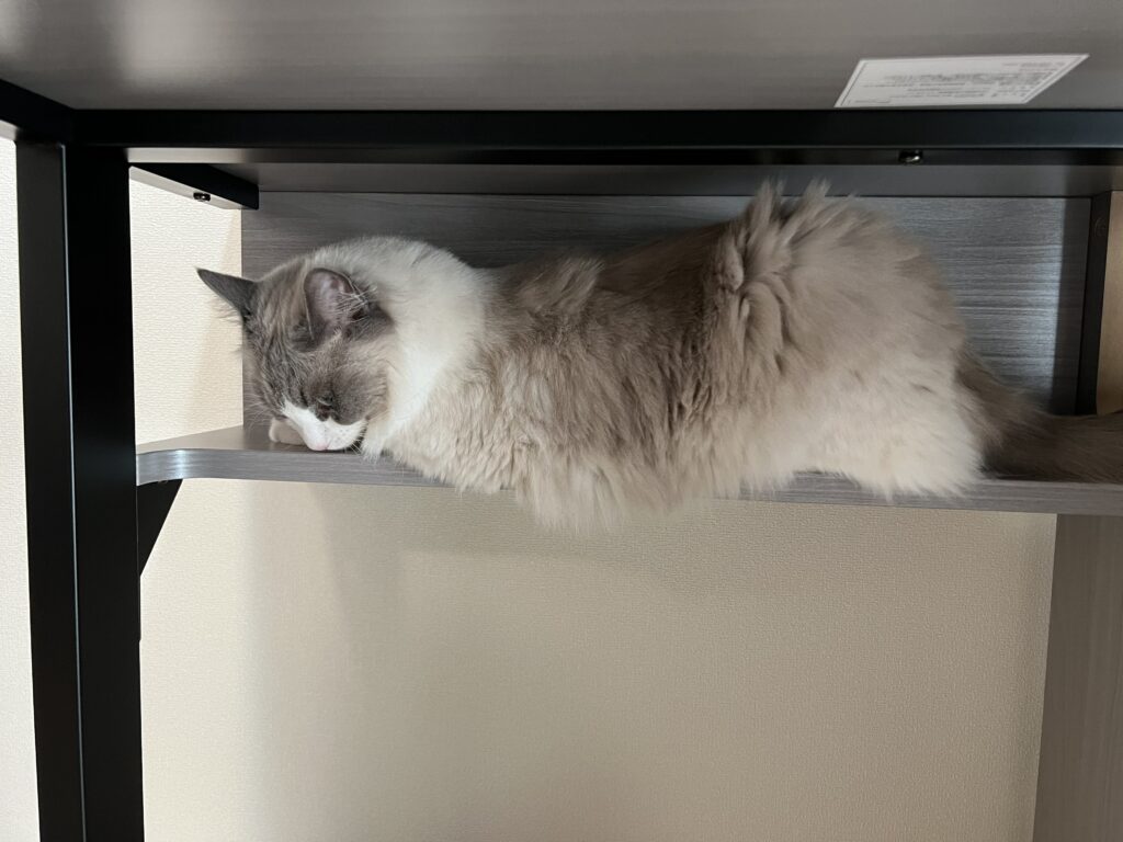 猫ハウスデスク