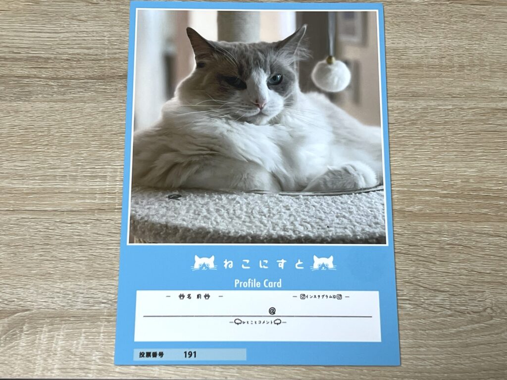 ねこにすと