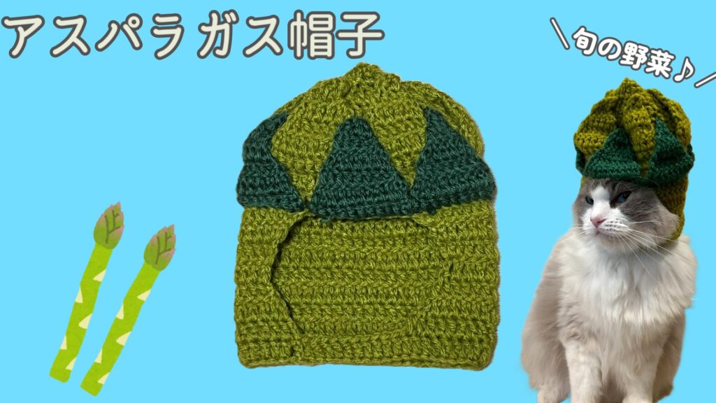 野菜シリーズ！猫のアスパラガス帽子を編もう♪【かぎ針編み】