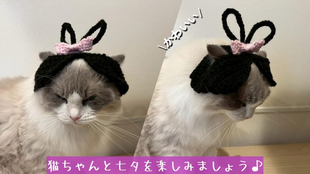 猫ちゃんと七夕を楽しみましょう♪
