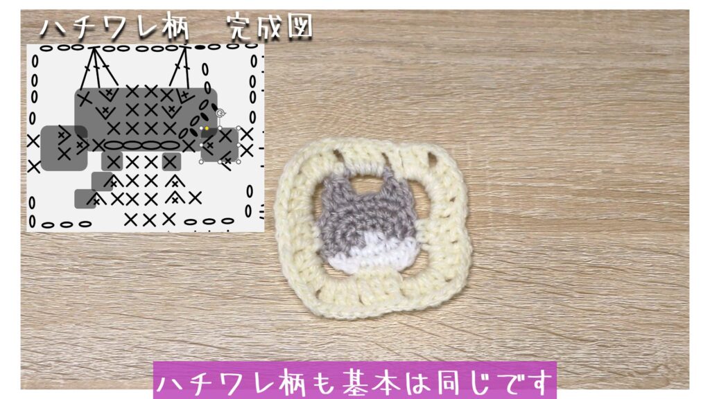 ハチワレ柄も基本は同じです