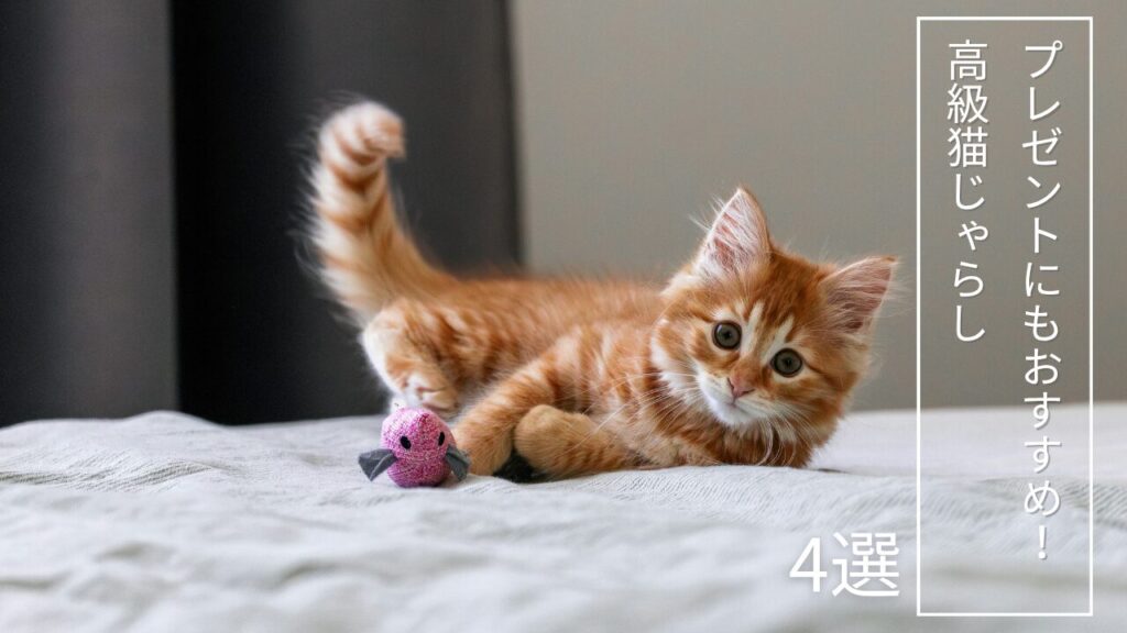 プレゼントにもおすすめ！高級猫じゃらし4選