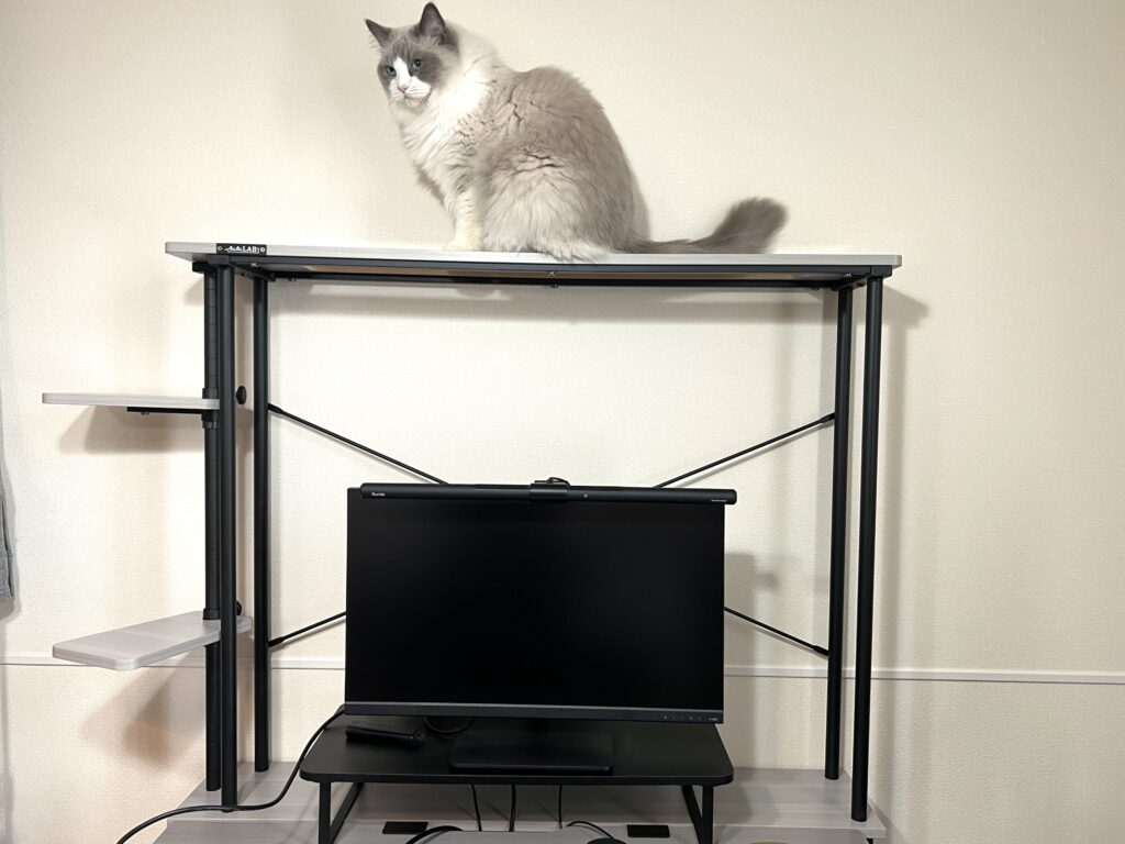 猫タワーラック