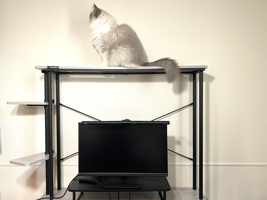 猫タワーラック