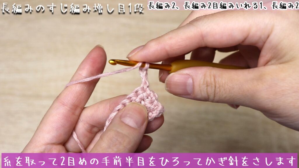 糸を取って2目めの手前半目をひろってかぎ針をさします