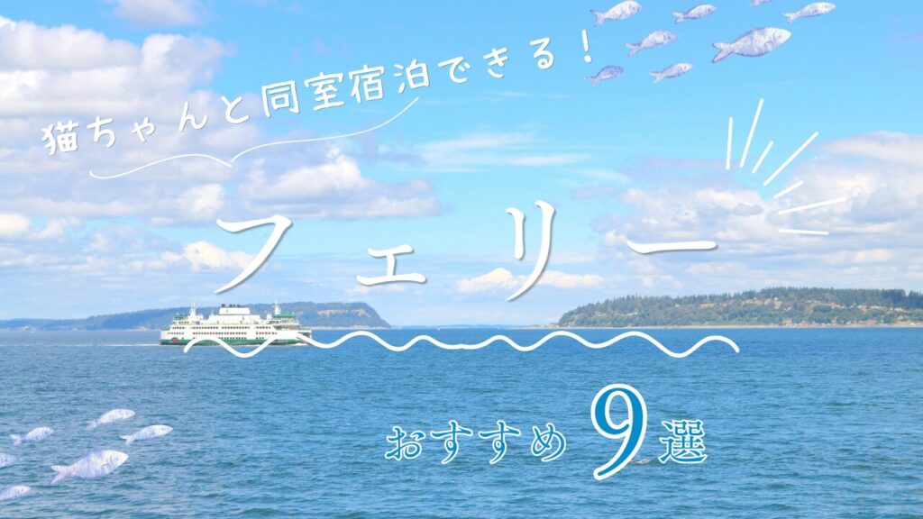 猫ちゃんと同室宿泊できる！おすすめフェリー9選！