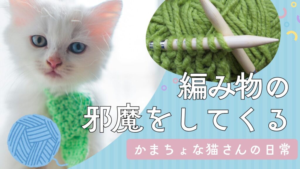 編み物の邪魔をしてくるかまちょな猫さんの日常