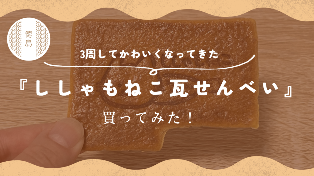 3周してかわいくなってきた『ししゃもねこ瓦せんべい』買ってみた！