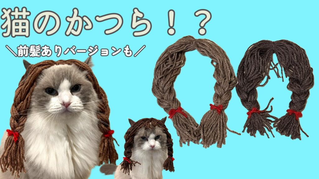 アレンジOK！猫のかつらを作ろう😺