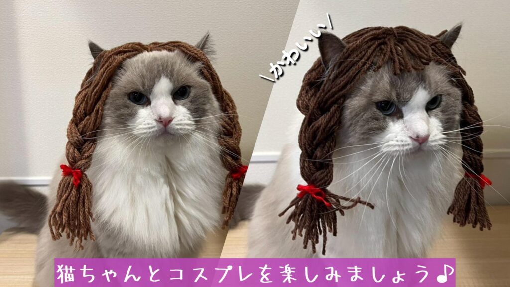 猫ちゃんとコスプレを楽しみましょう♪