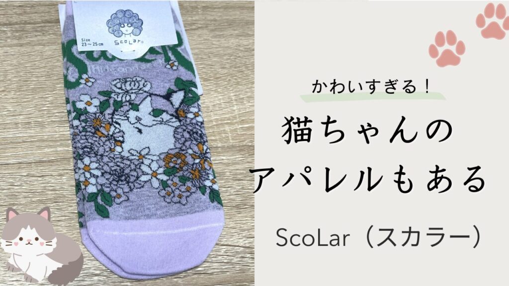 かわいすぎる！猫ちゃんのアパレルもあるScoLar（スカラー）