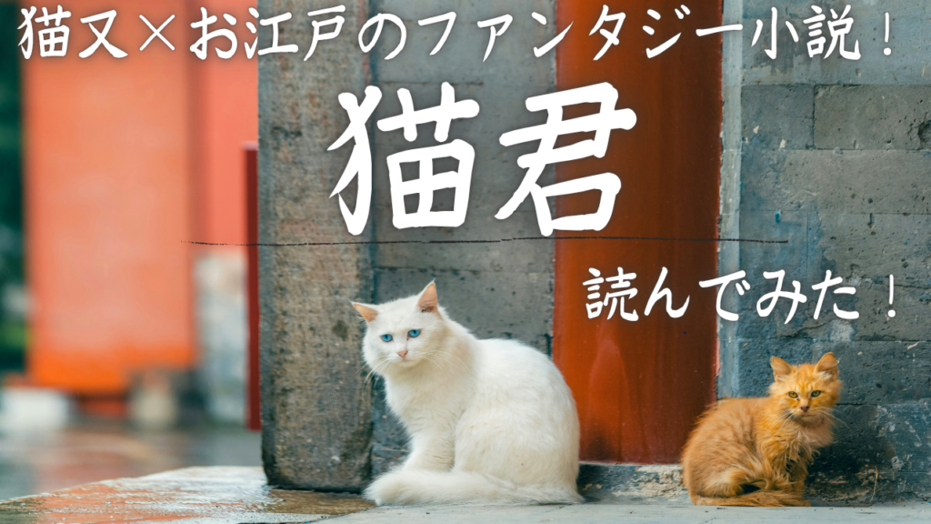 猫又×お江戸のファンタジー小説！『猫君』読んでみた！