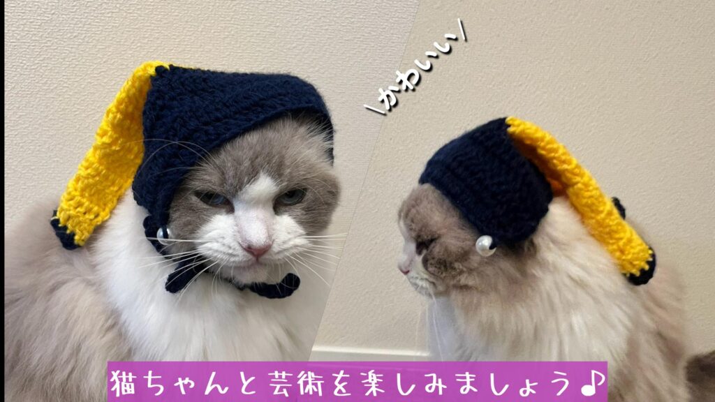 猫ちゃんと芸術を楽しみましょう♪