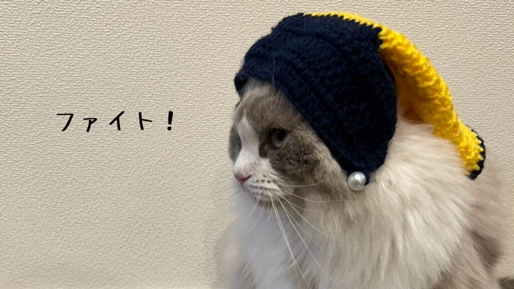 ファイト！