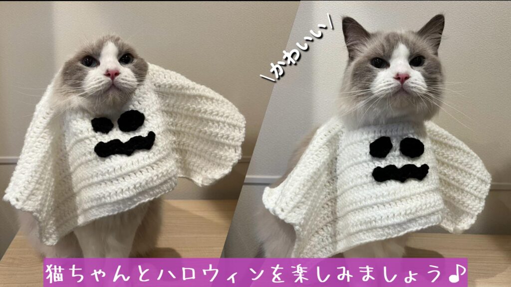 猫ちゃんとハロウィンを楽しみましょう♪