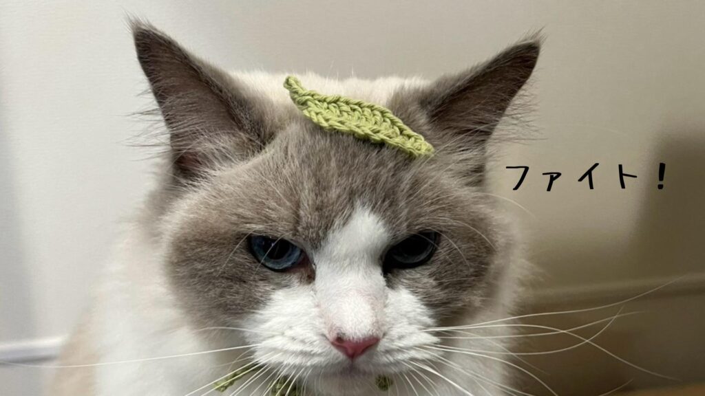 ファイト!