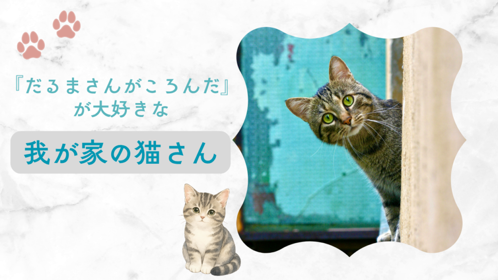 『だるまさんがころんだ』が大好きな我が家の猫さん
