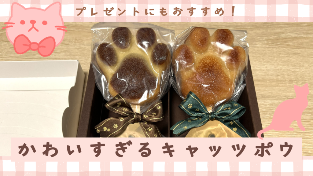 プレゼントにもおすすめ！かわいすぎるキャッツポウ😺🐾