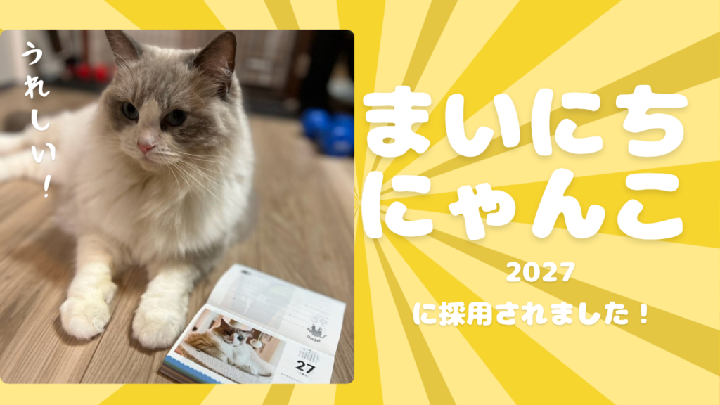 嬉しい🐱！まいにちにゃんこ2027に採用されました！