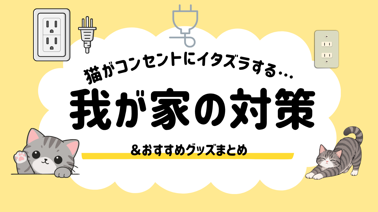 猫がコンセントにイタズラする…我が家の対策＆おすすめグッズまとめ