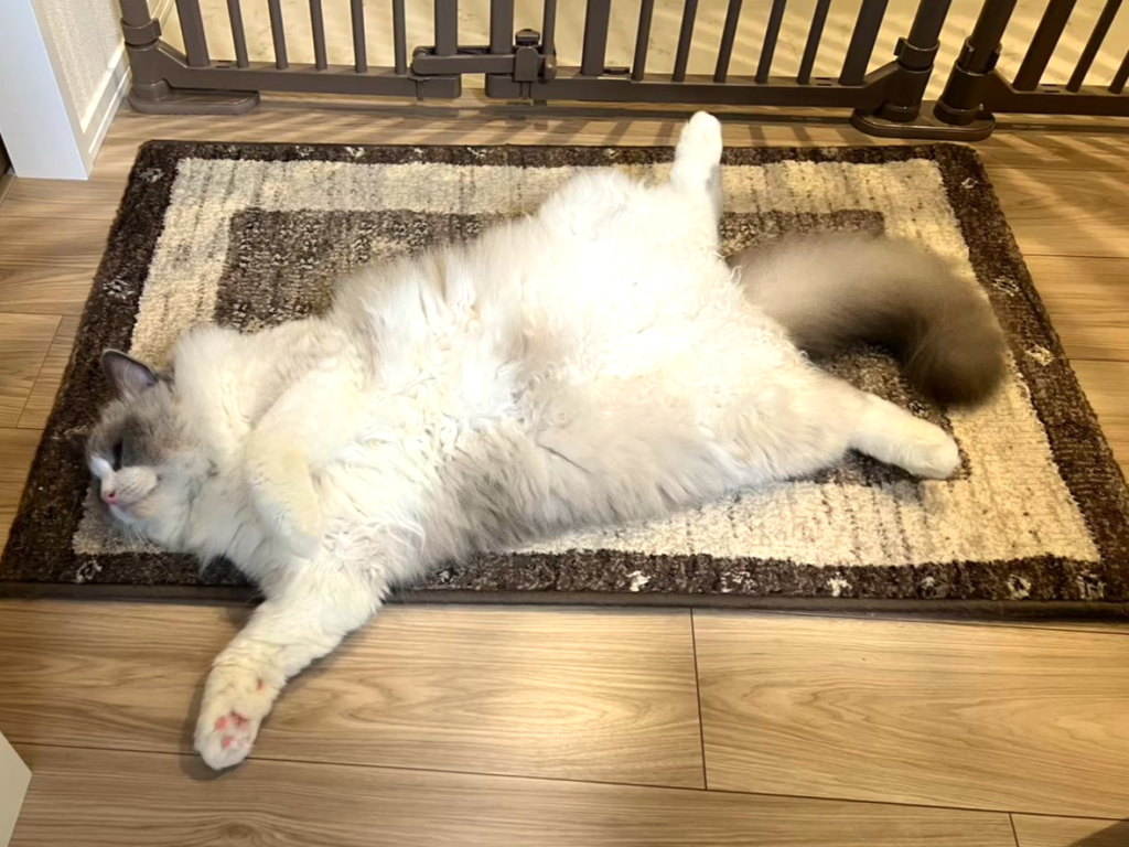 るん