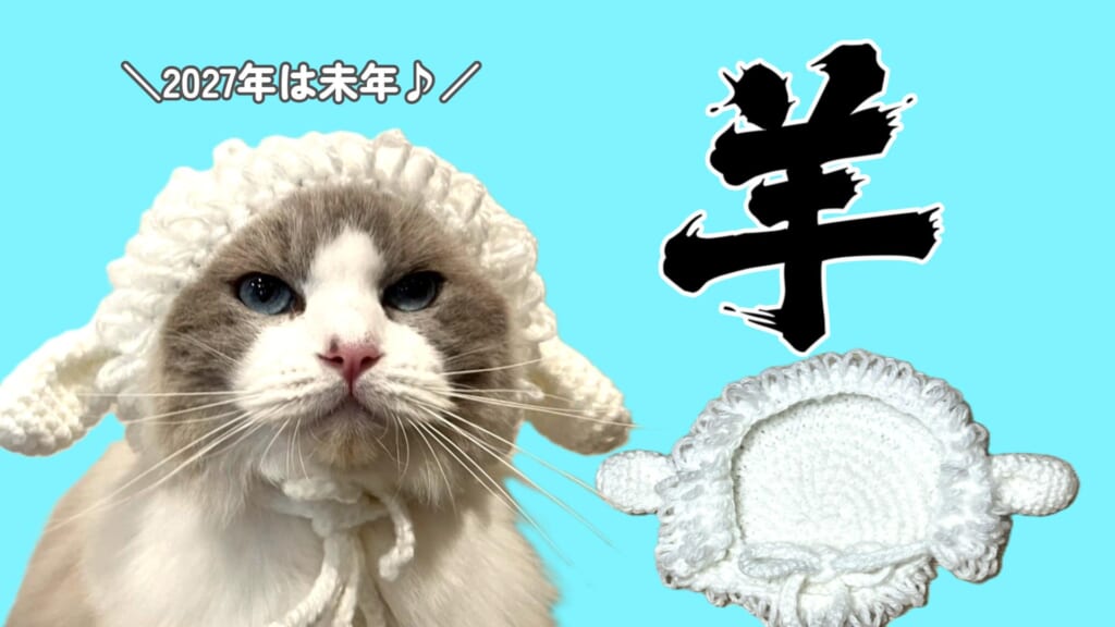 年賀状にもぴったり🐑猫の羊帽子を編もう♪【かぎ針編み】
