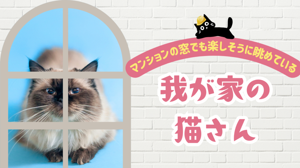 マンションの窓でも楽しそうに眺めている我が家の猫さん
