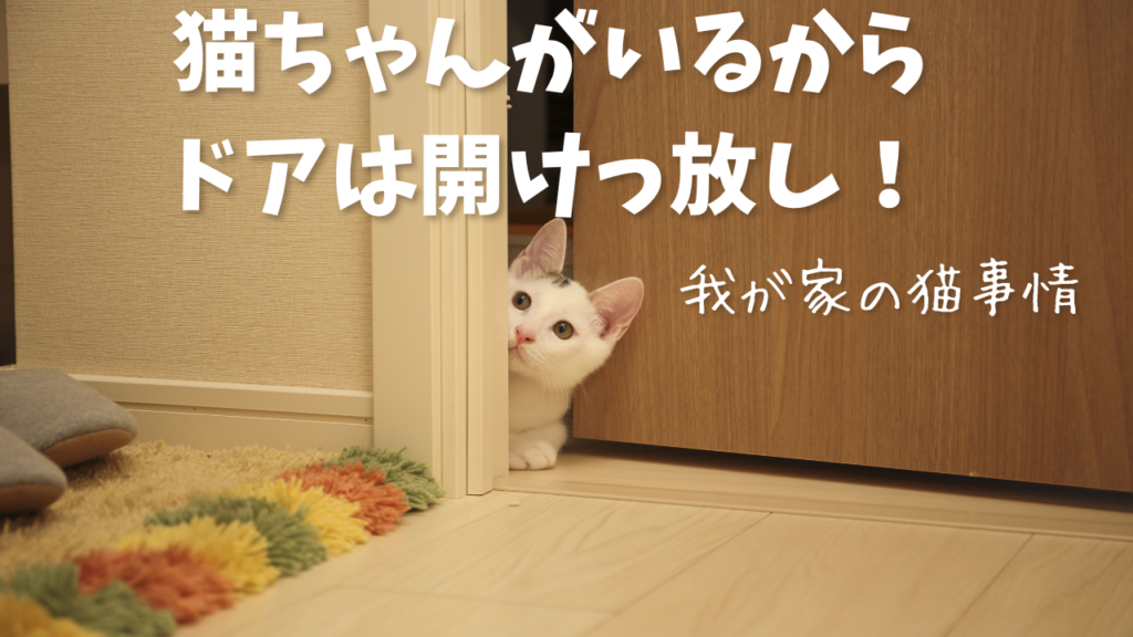 猫ちゃんがいるからドアは開けっ放し！我が家の猫事情