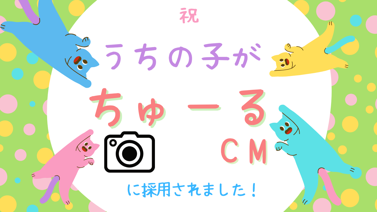 祝♡うちの子がちゅーるのCMに採用されました！